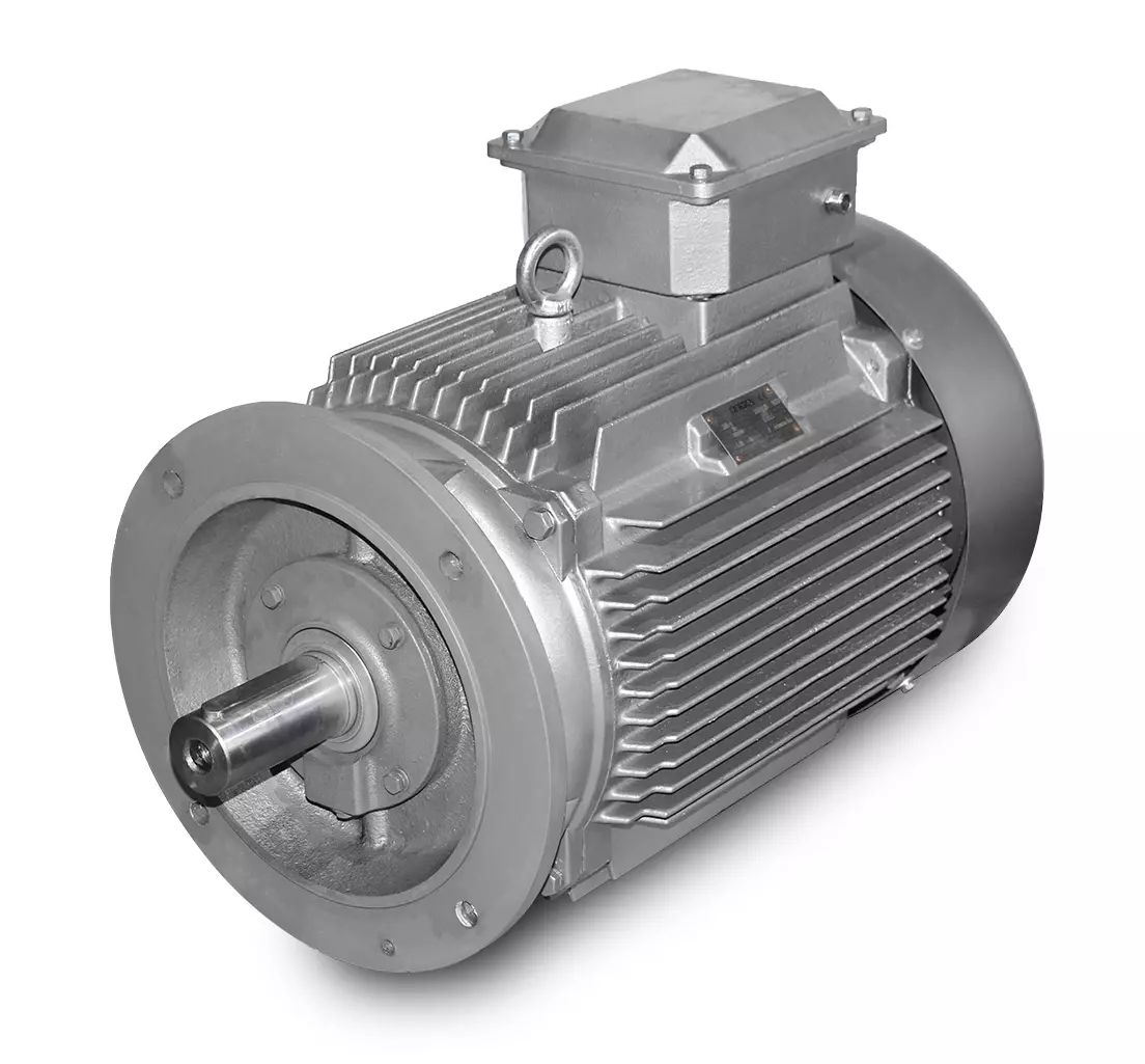 Elektrisk motor-M3 200L-30 kW-4pol-B5/V3